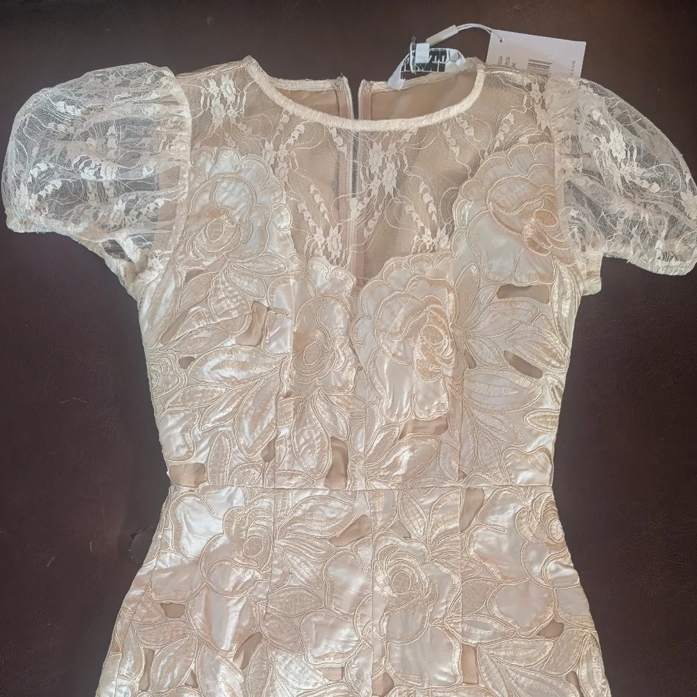 Elliatt Ambient Lace Dress In Champagne Size Small NWT - Picture 15 of 15
